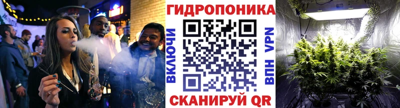 Бошки марихуана семена  Купить закладки  Еманжелинск 